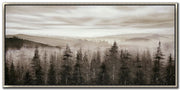 FOGGY MOUNTAIN PINES
